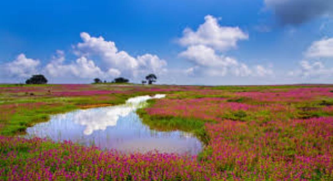 Pune to Satara cab service